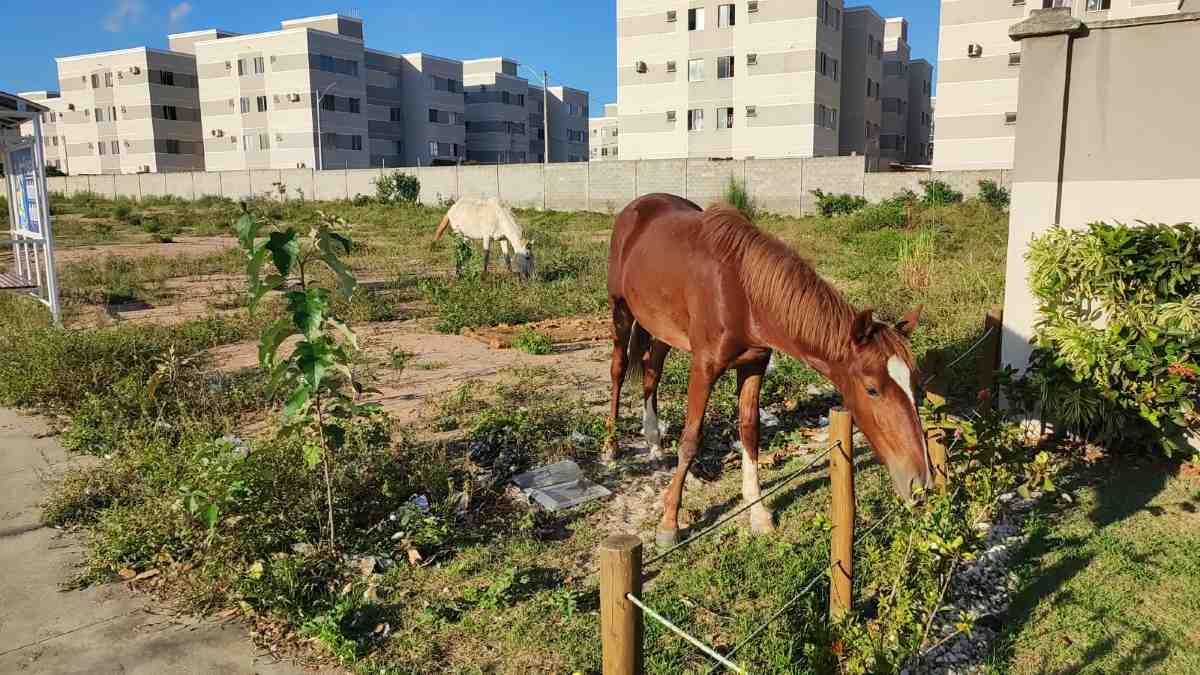População de Feira de Santana recorre ao Acorda Cidade após não terem suas denúncias atendidas 