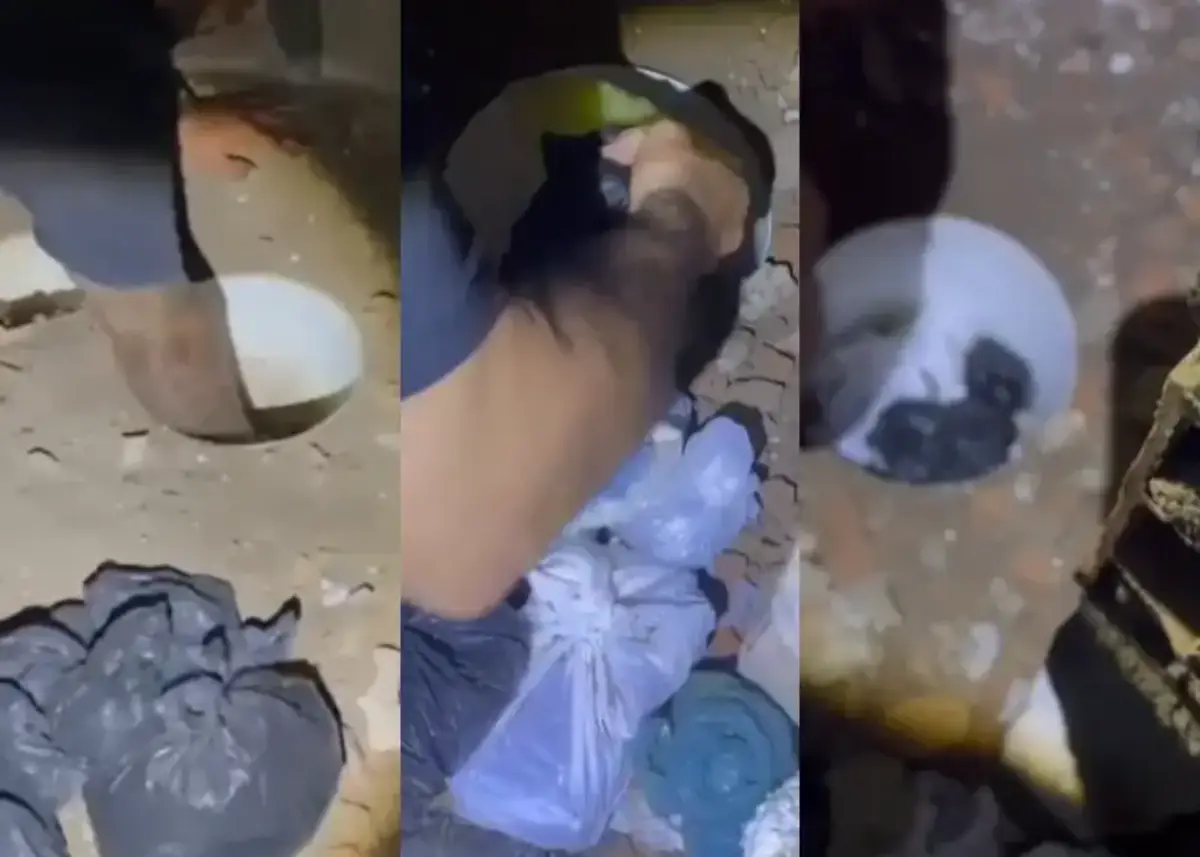 Polícia encontra drogas enterradas e prende suspeito de tráfico em Amargosa