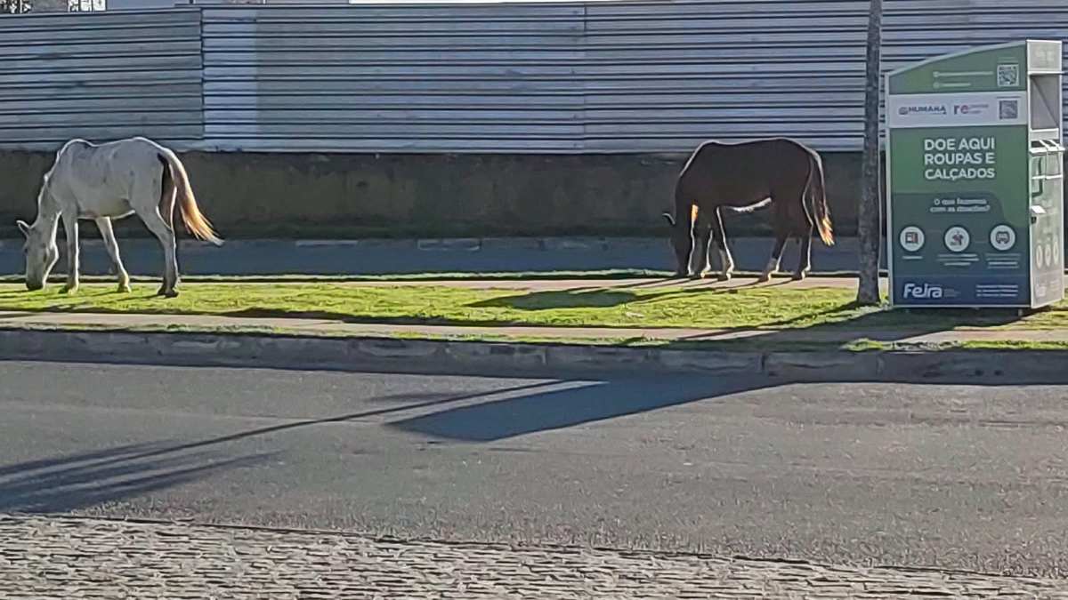População de Feira de Santana recorre ao Acorda Cidade após não terem suas denúncias atendidas 