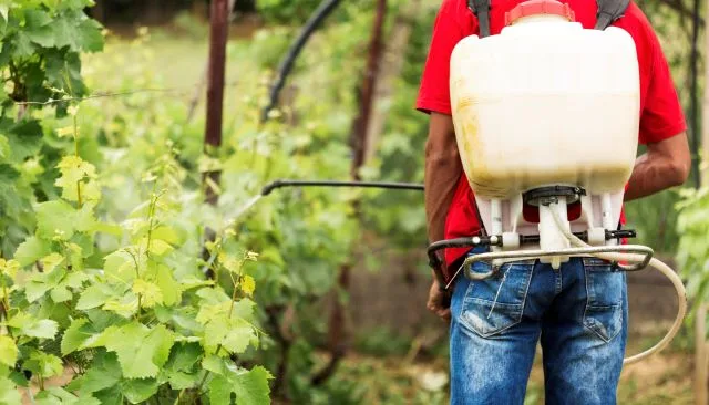 agrotóxicos pesticida aplicação veneno