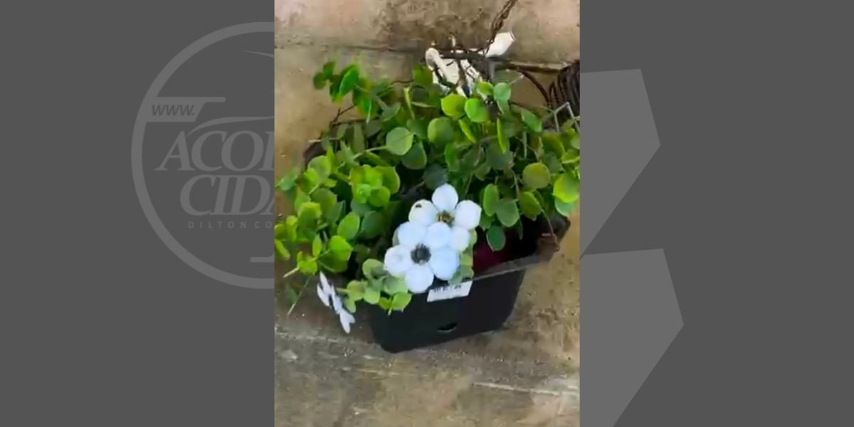 PM identifica câmeras instaladas em plantas por facção para acompanhar movimento de viaturas