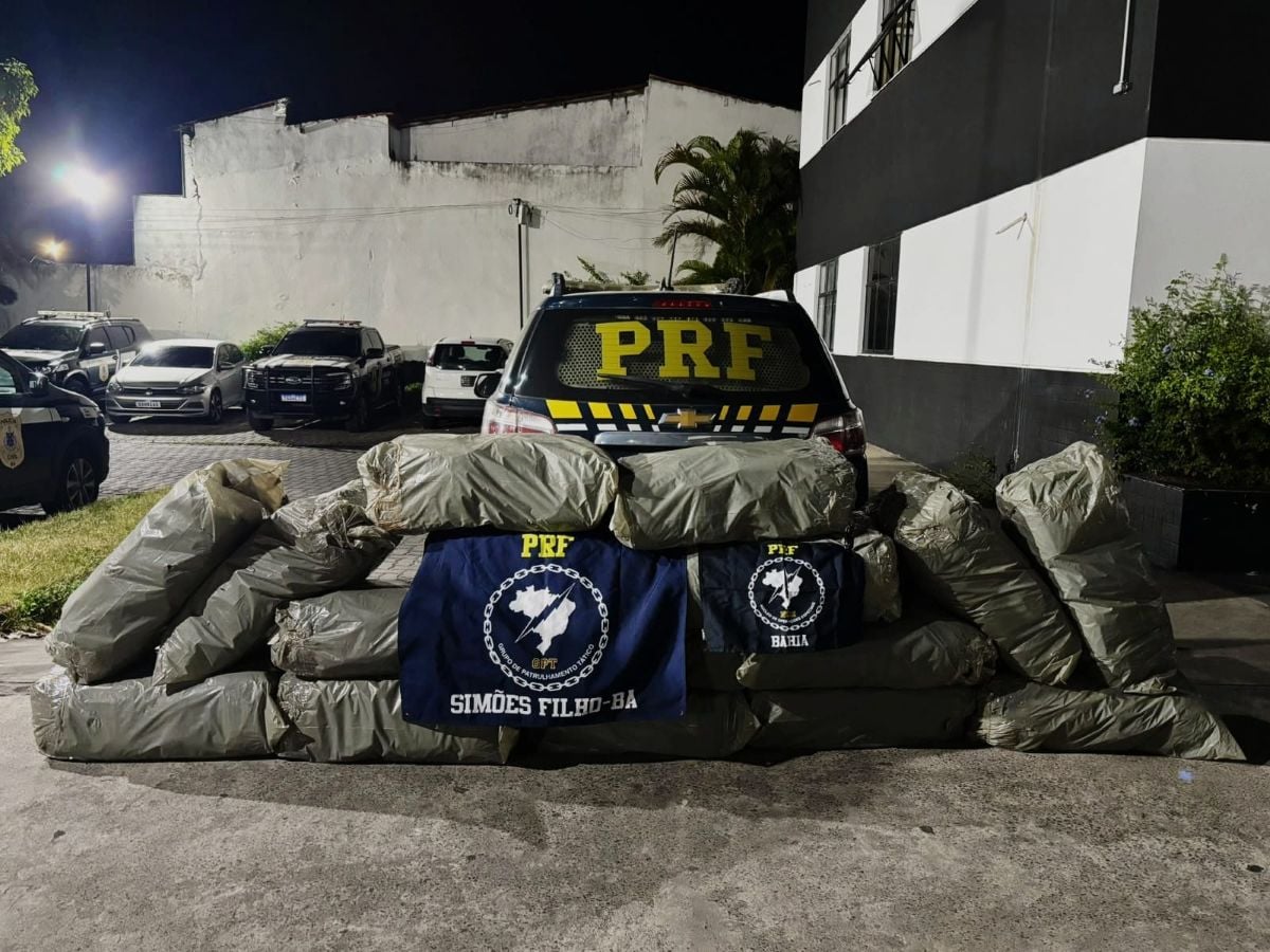 maconha BR-324 PRF
