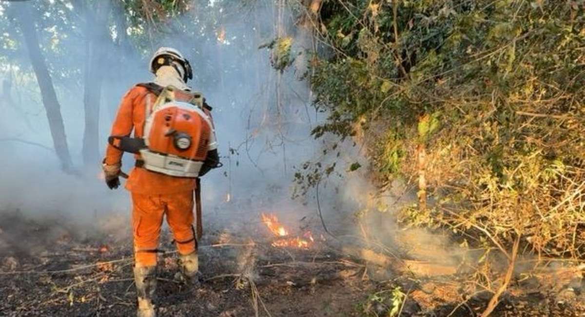 Bahia mobiliza 21 bombeiros e duas aeronaves para combater incêndio florestal no Norte do estado