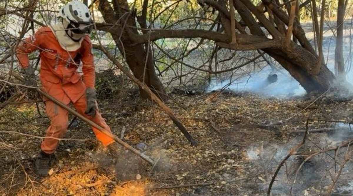 Bahia mobiliza 21 bombeiros e duas aeronaves para combater incêndio florestal no Norte do estado