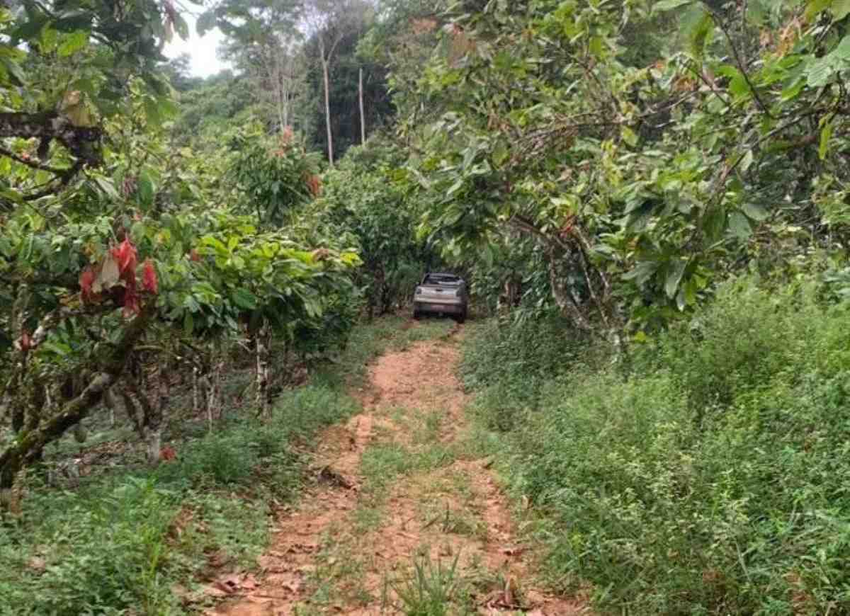 Carro do empresário