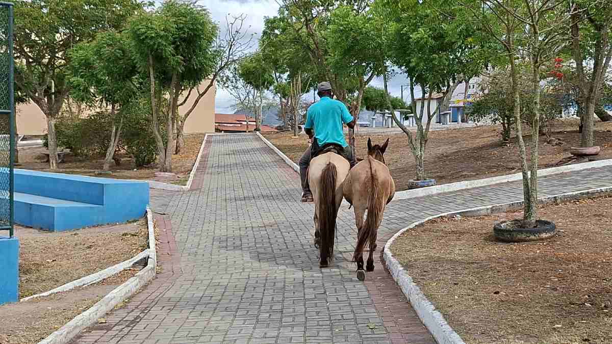 Distrito de Jaguara