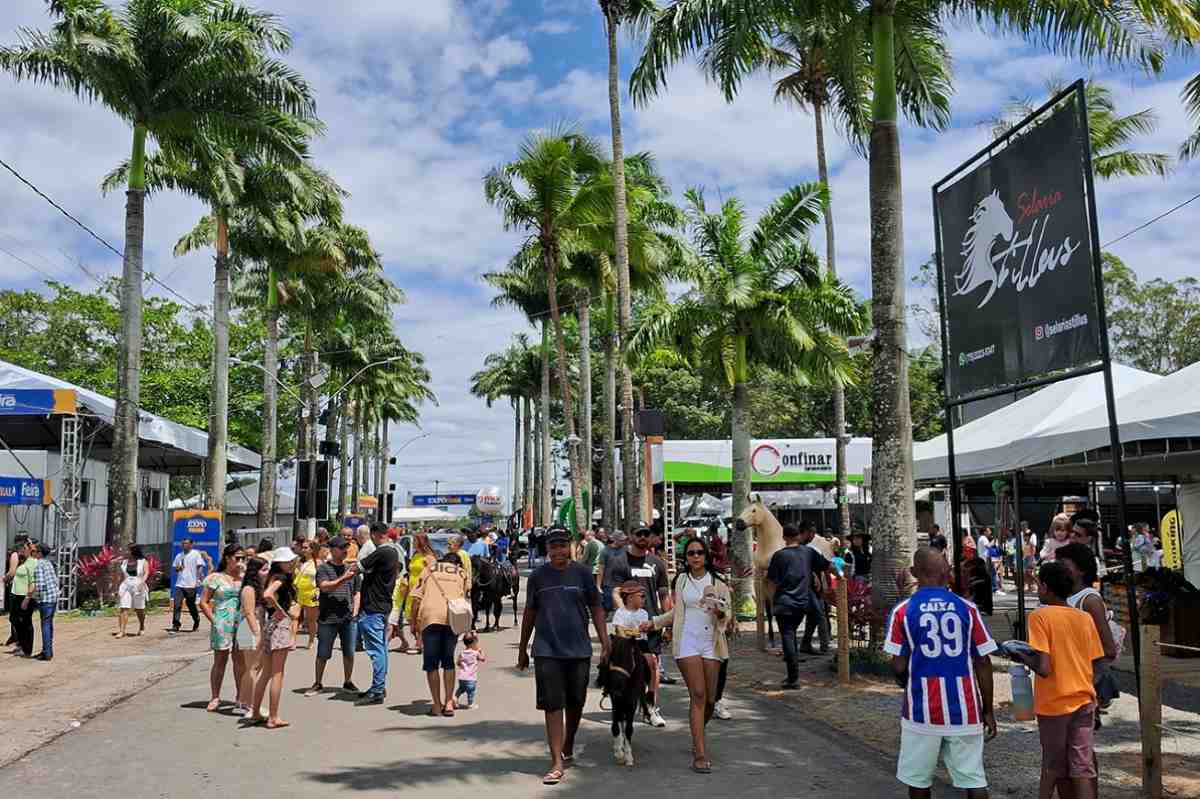 Expofeira