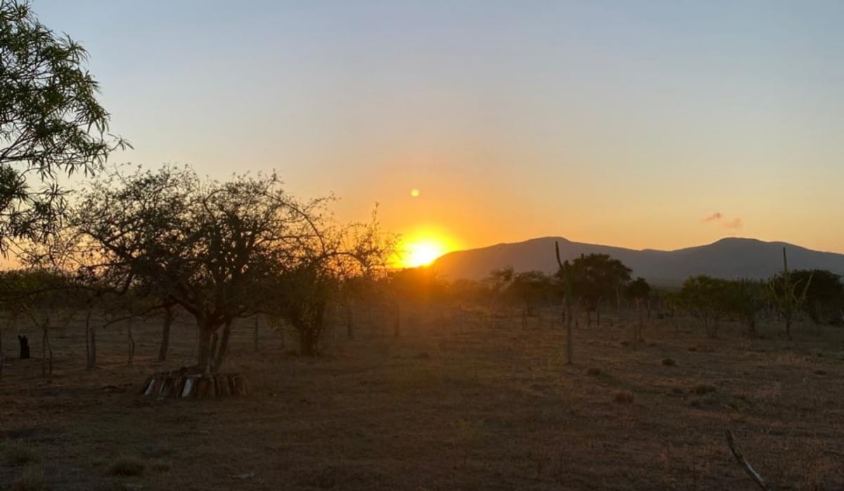 Foto do Dia o nascer do sol em Serra Preta