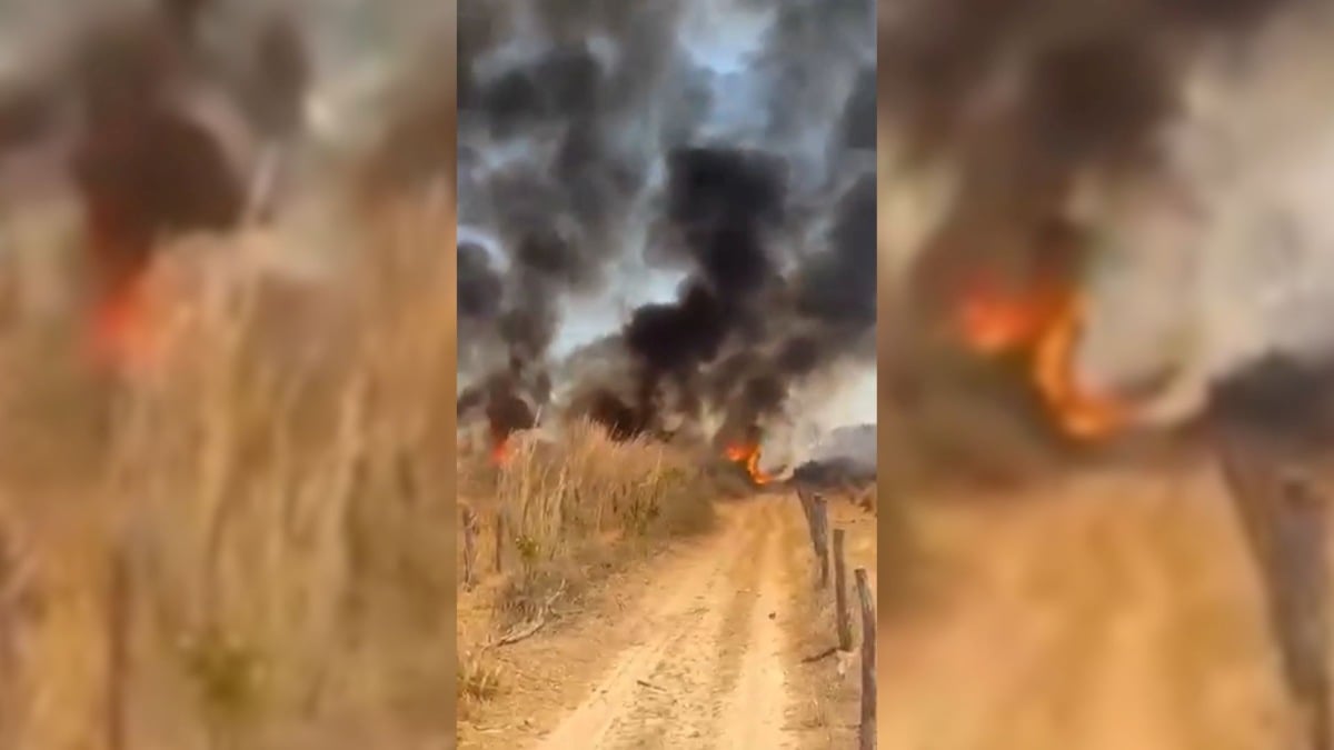 Incêndio avança por propriedades rurais e deixa animais mortos no Oeste da Bahia; fogo se aproxima da BA-172