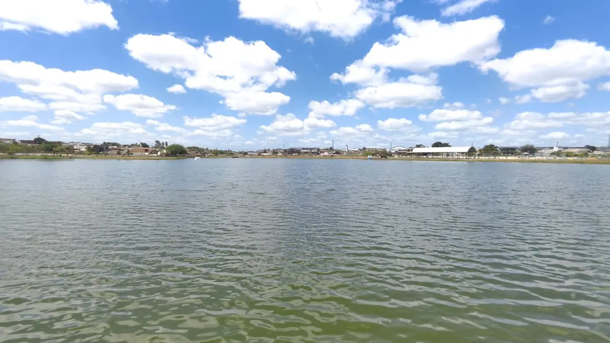 Jacaré de cerca de dois metros é encontrado morto às margens da Lagoa Grande em Feira de Santana