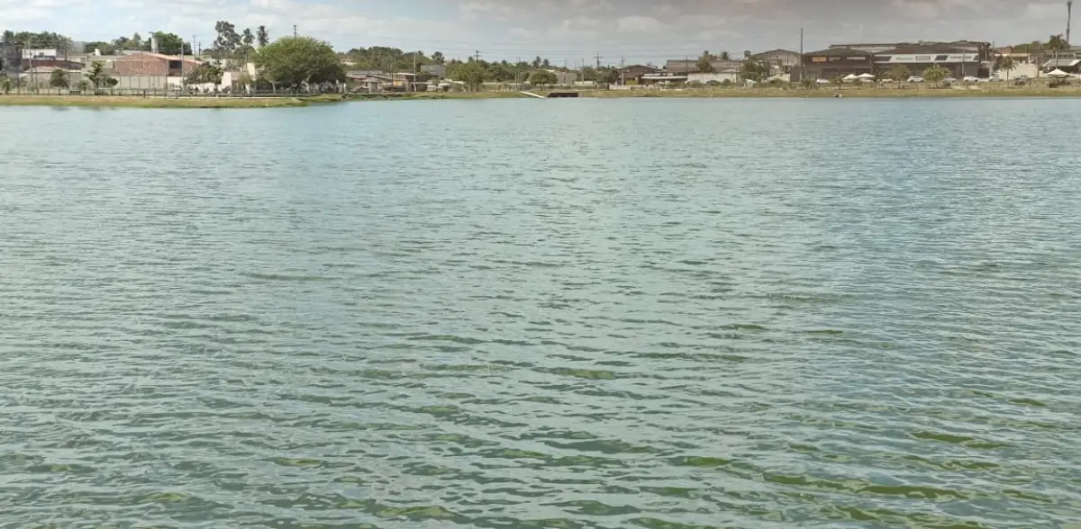 Jacaré de cerca de dois metros é encontrado morto às margens da Lagoa Grande em Feira de Santana