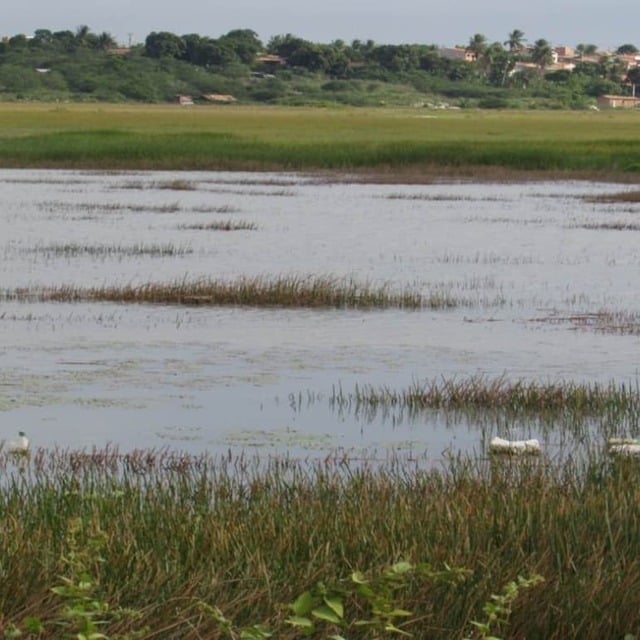 Lagoa Salgada I, Av Noide Cerqueira