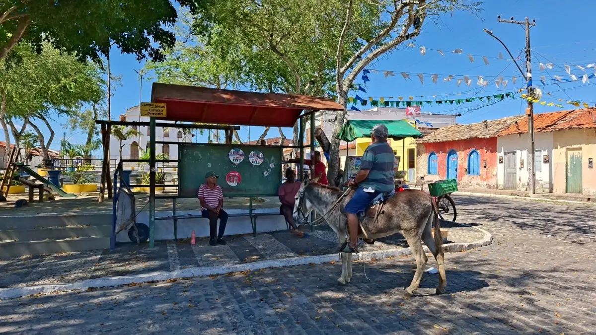 Entre Maria Quitéria e o som dos pandeiros: distrito de Tiquaruçu guarda a memória viva de Feira de Santana