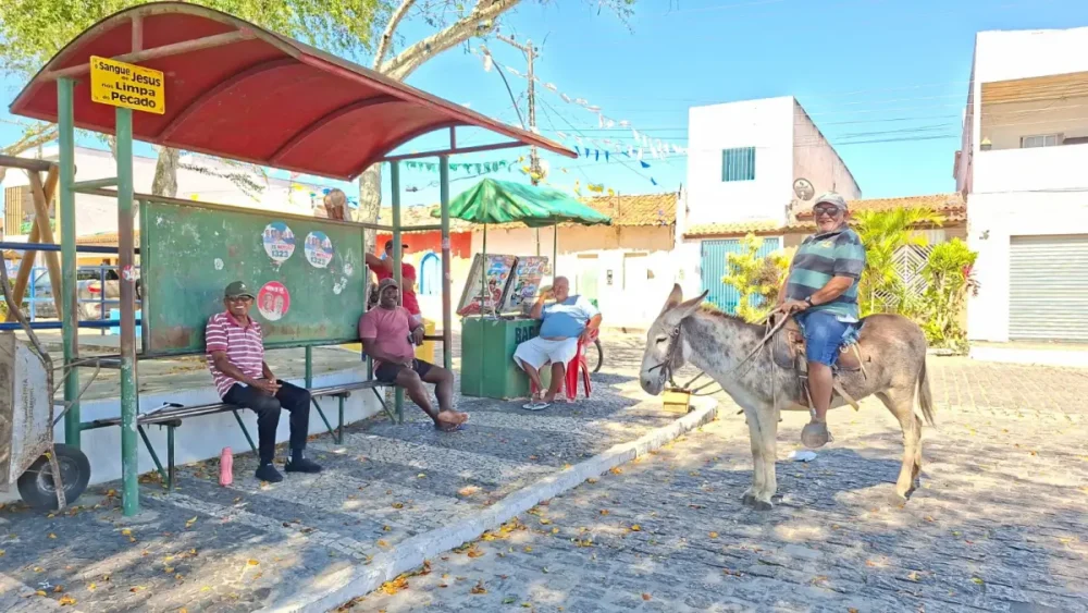 Entre Maria Quitéria e o som dos pandeiros: distrito de Tiquaruçu guarda a memória viva de Feira de Santana