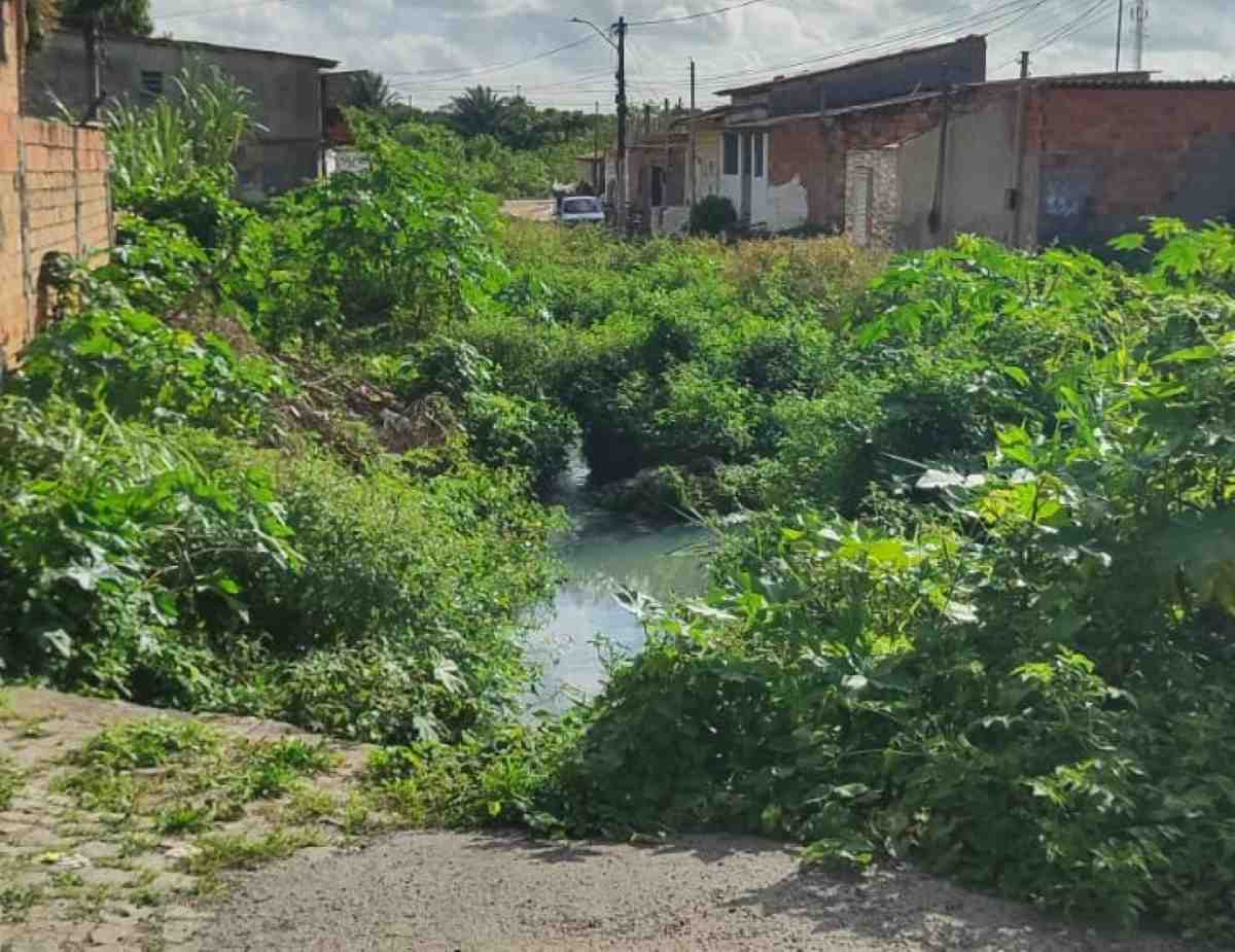 Mato na Rua Morro Verde, no bairro Mangabeira.
