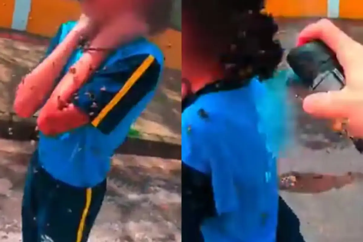 VÍDEO: adolescente é atacada por enxame de abelhas e é resgatada por motociclista