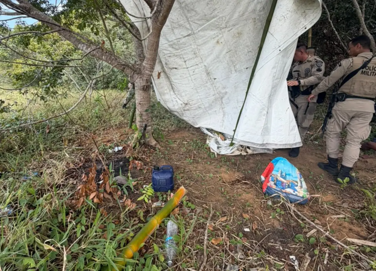 Submetralhadora, drogas, rádios e fuzil são apreendidos após suspeitos fugirem em área de mata em Salvador