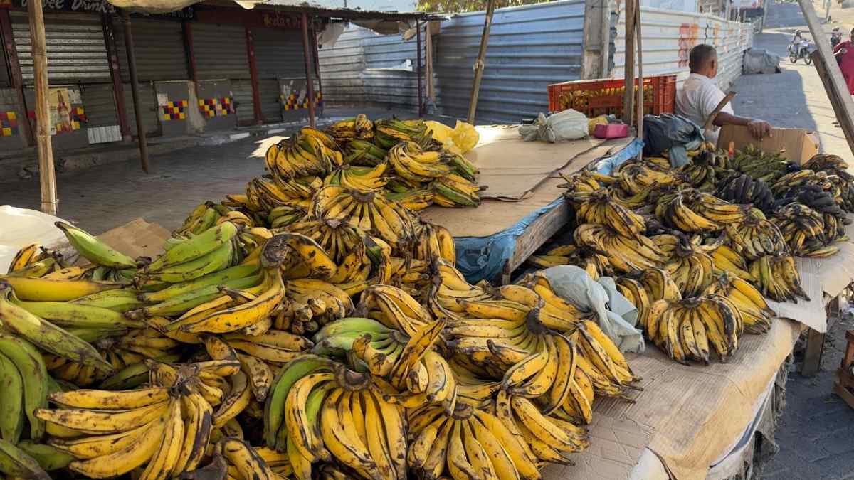 bananas