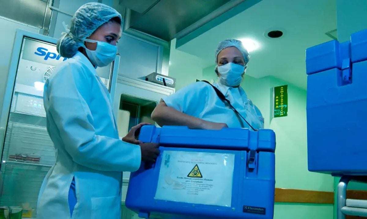 caixa no hospital, doação de órgãos