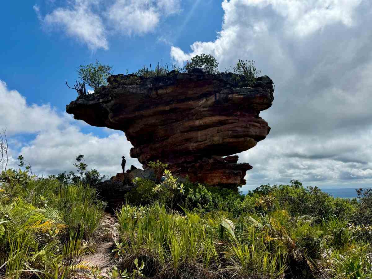 Bahia cria nova área de proteção ambiental com 18 mil hectares na Chapada Diamantina