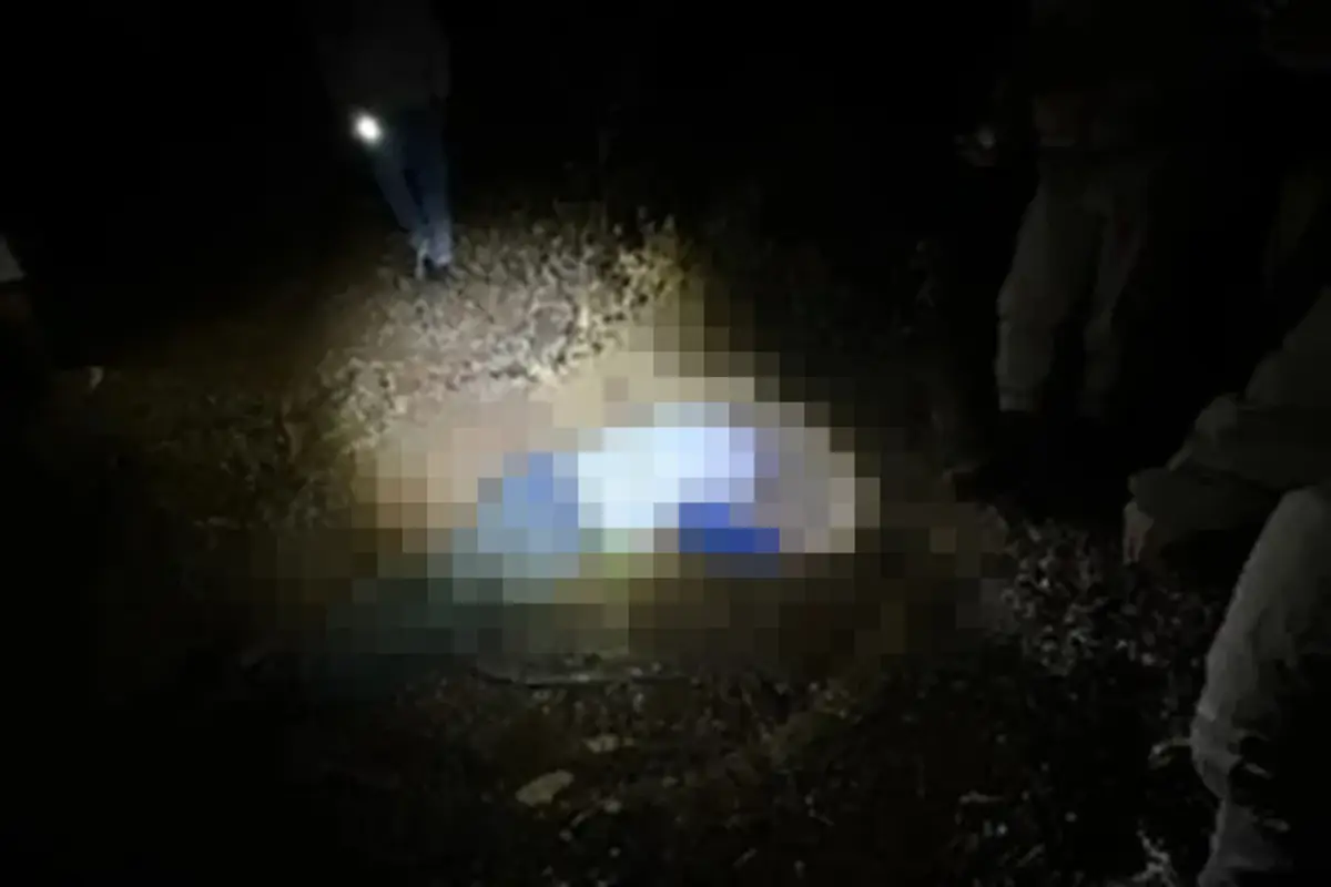 Ataque de abelhas deixa idoso de 86 anos morto na zona rural de Guanambi