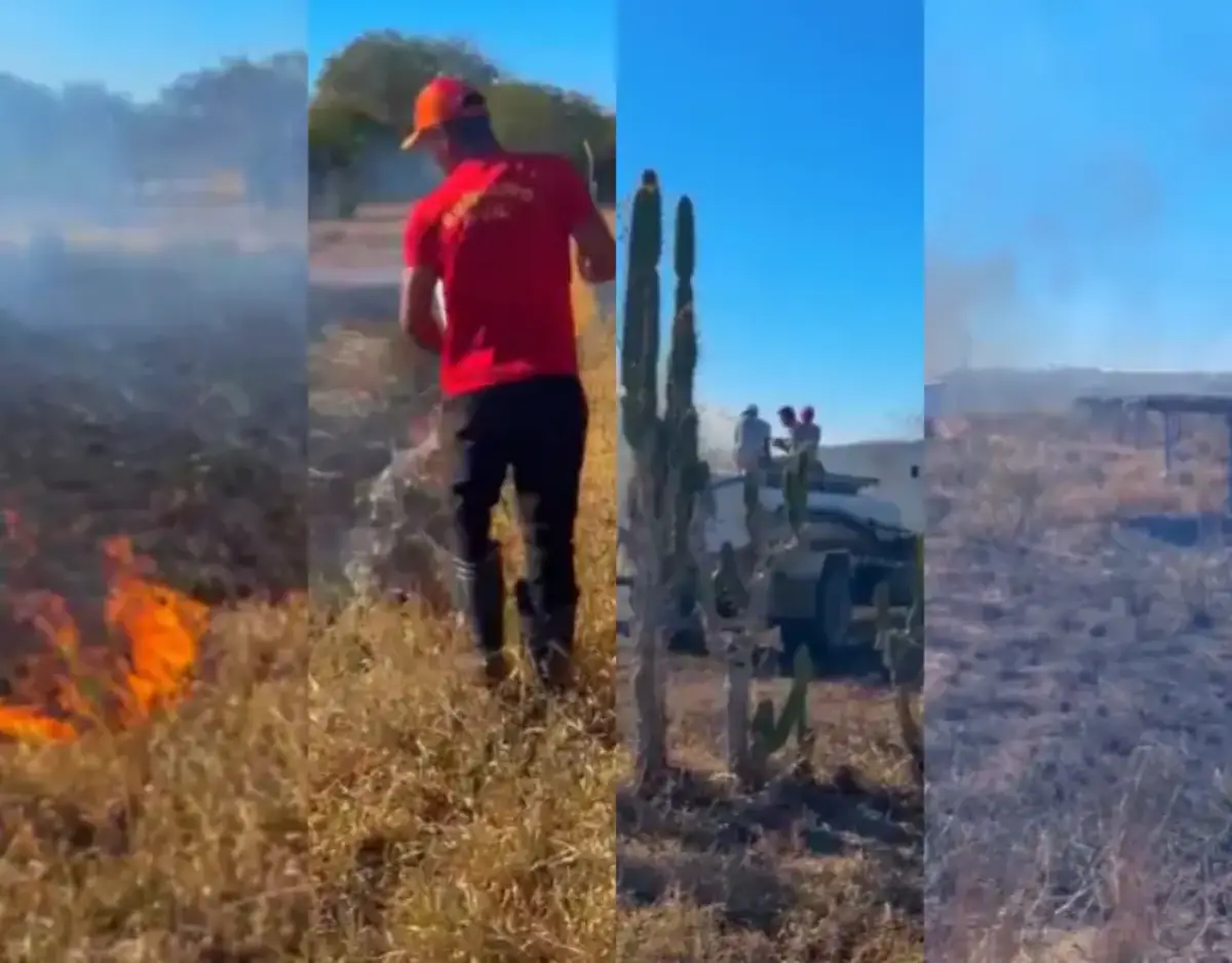 Incêndio de grande proporção atinge área próxima a usina de energia solar
