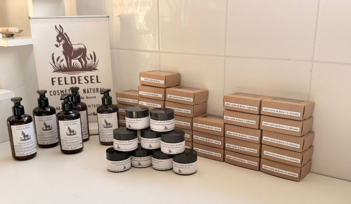 Uso do leite de jumenta na cosmética cresce e gera novas oportunidades para o Nordeste