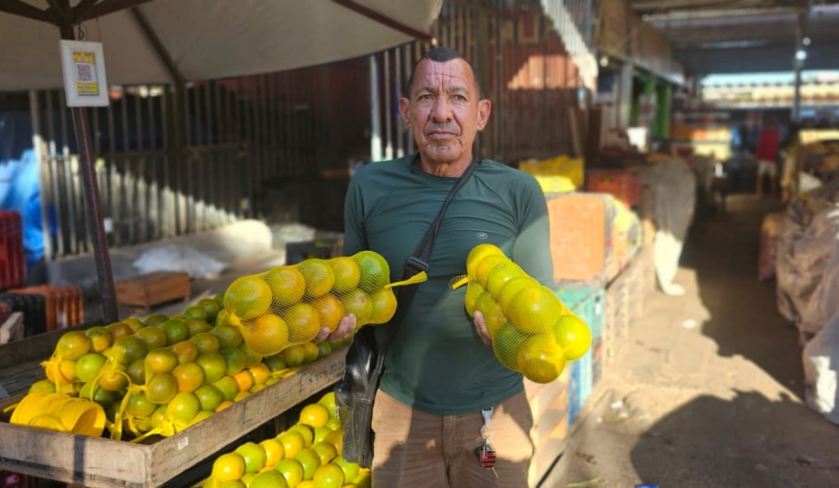 laranjas no centro de abastecimento de Feira de Santana
