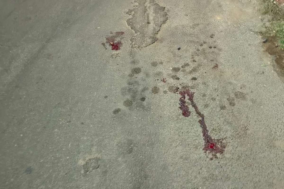 sangue no chão