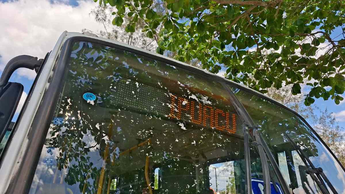 Ipuaçu, um distrito que mudou de lugar, mas não deixou sua história para trás