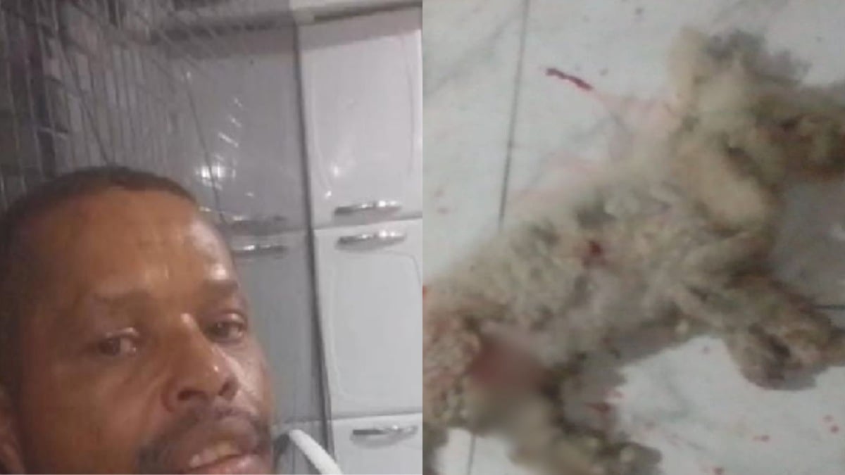 Cachorro e tutor são mortos a tiros dentro de casa na Bahia; animal é encontrado ao lado do corpo do dono