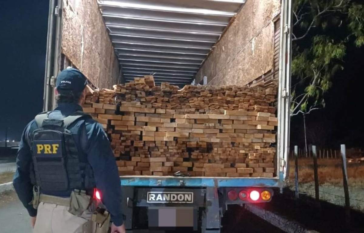 Carga de madeira ilegal na BR-116