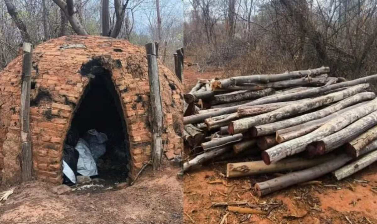 Casal é encontrado em fazenda na Bahia sob suspeita de trabalho análogo à escravidão