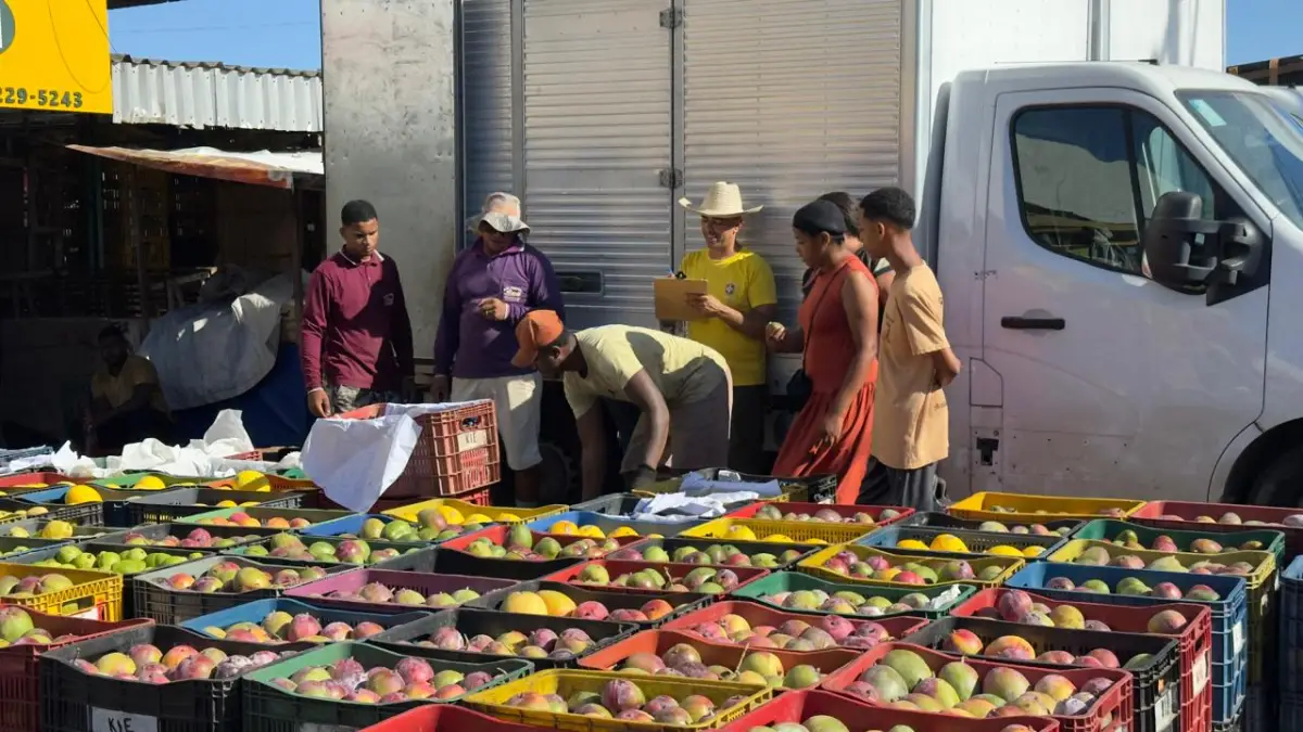 Feriado esvazia movimento no Centro de Abastecimento de Feira; veja preços das frutas