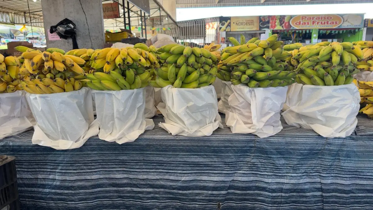 Feriado esvazia movimento no Centro de Abastecimento de Feira; veja preços das frutas