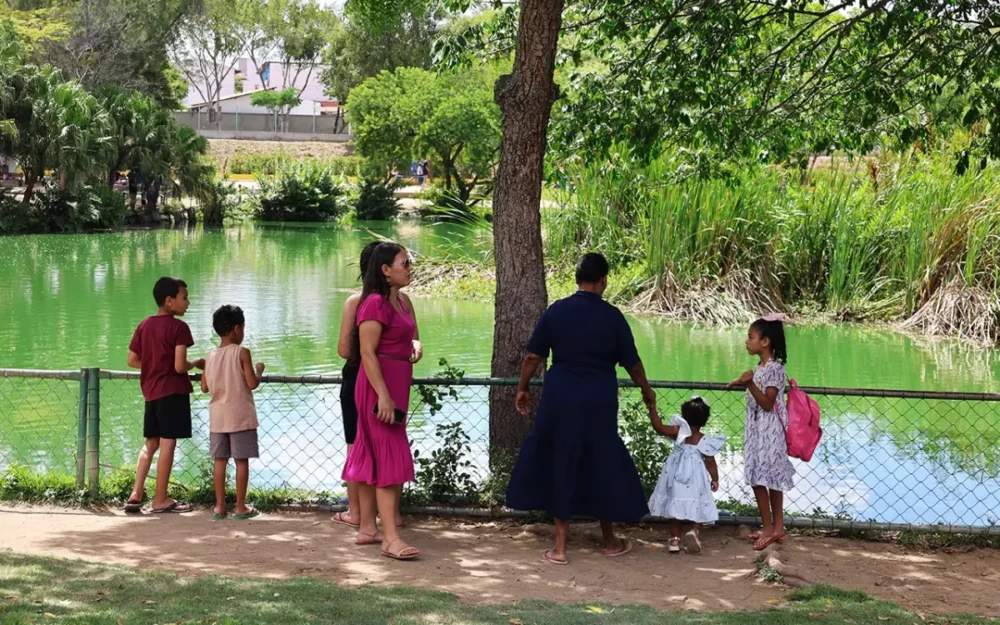 Brincafeira reúne famílias em dois dias de diversão e celebra o Dia das Crianças em Feira de Santana Brincafeira reúne famílias em dois dias de diversão e celebra o Dia das Crianças em Feira de Santana