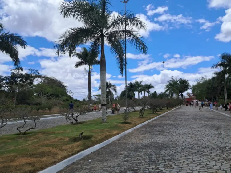 Pula-pula, circo e muita alegria: Brinca Feira reúne famílias em parques de Feira de Santana