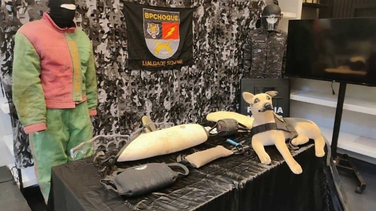 Expo Segurança 2026