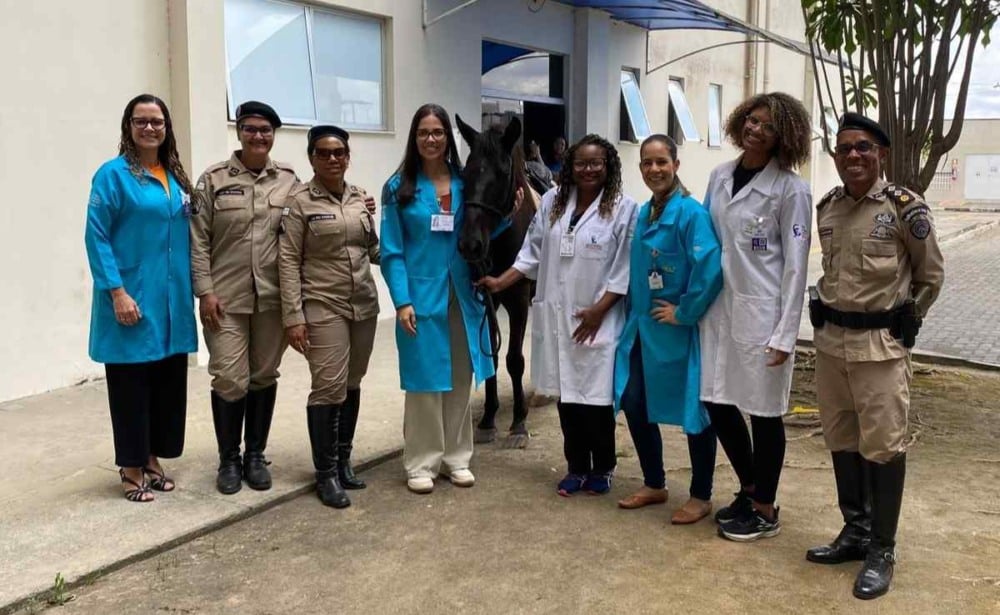 Policiais do Esquadrão de Polícia Montada de Feira de Santana, um cavalo e colaboradoras do HEC Policiais do Esquadrão de Polícia Montada de Feira de Santana, um cavalo e colaboradoras do HEC