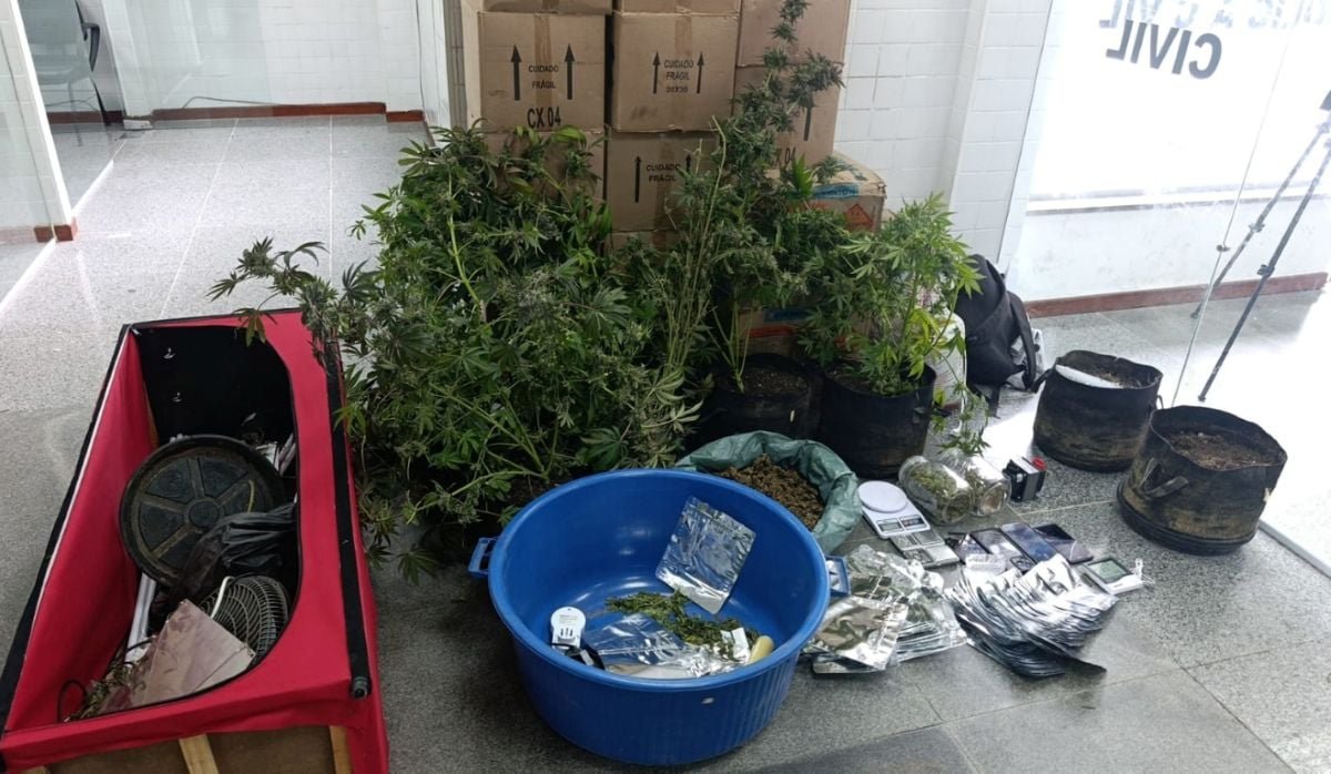 Homem é preso após PM encontrar estufa com maconha em Feira de Santana