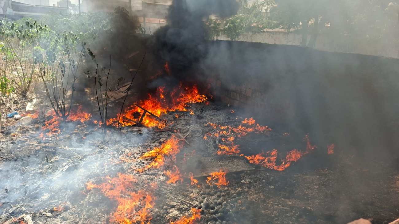 Incêndio em terreno na Rua Barão do Rio Branco