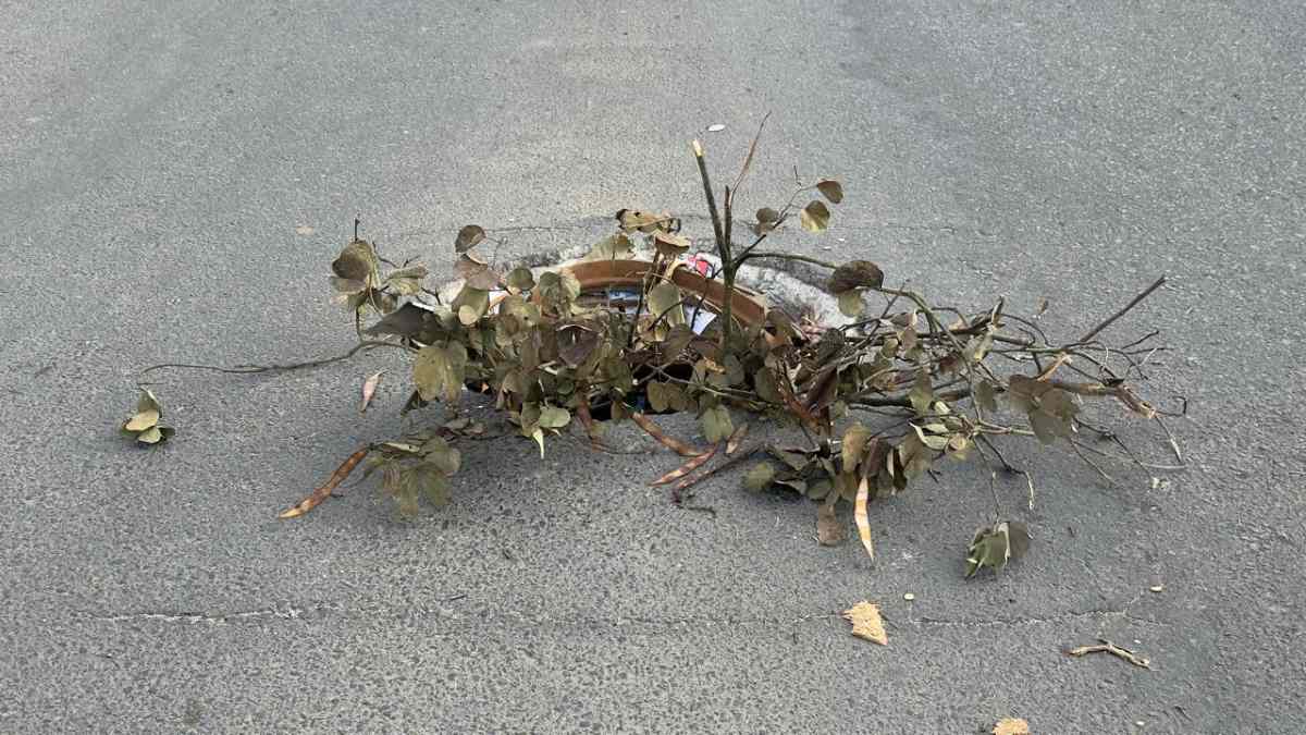 Moradores denunciam bueiro aberto e risco de acidentes em avenida de Feira de Santana