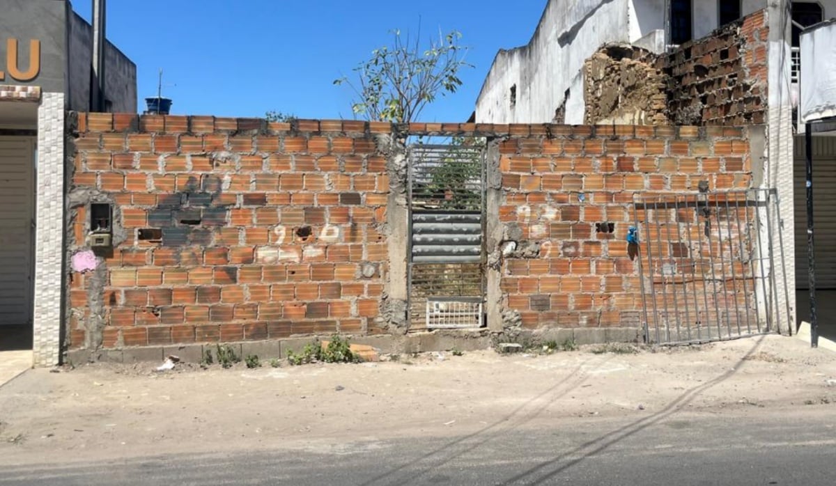 Moradores denunciam grupo com cerca de 15 cães abandonados em terreno do Sobradinho