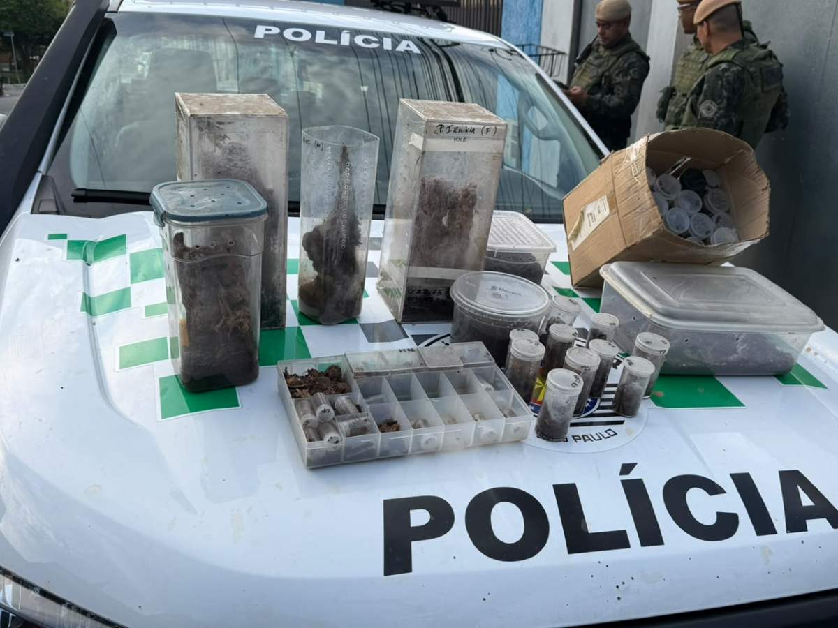 Operação PF animais silvestres (2)