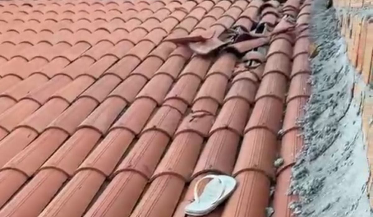 PM apreende arma, drogas e conduz suspeito após troca de tiros em Feira de Santana