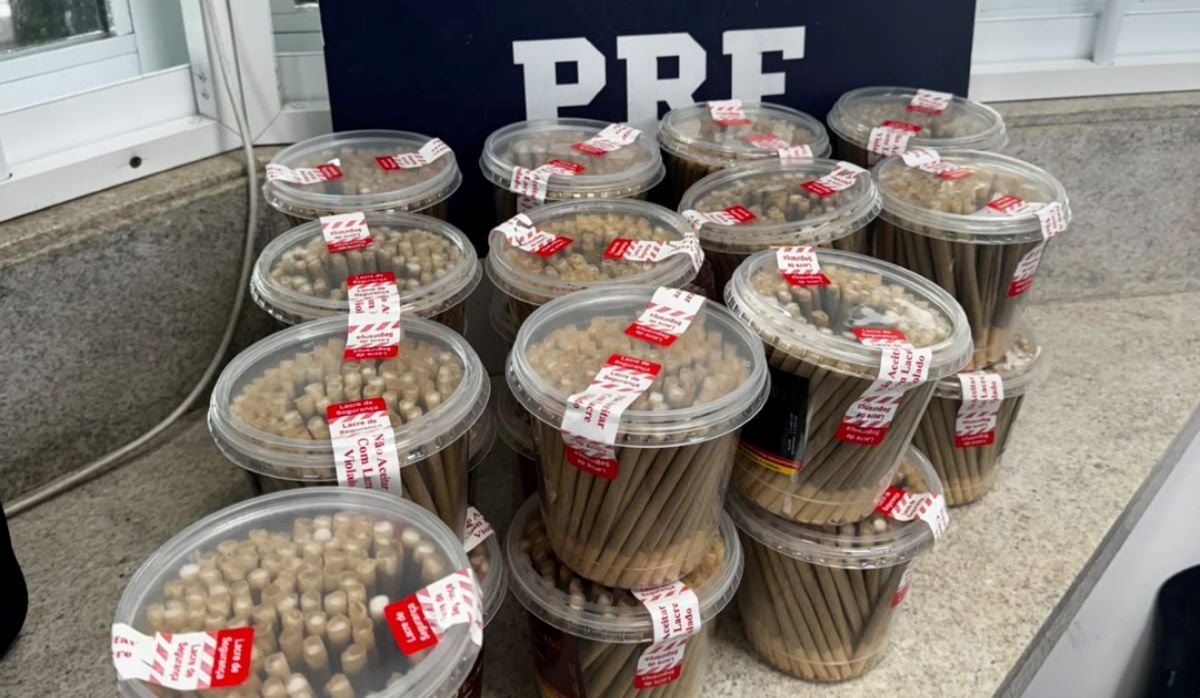 PRF apreende cerca de 10 mil cigarros artesanais em ônibus na BR-116