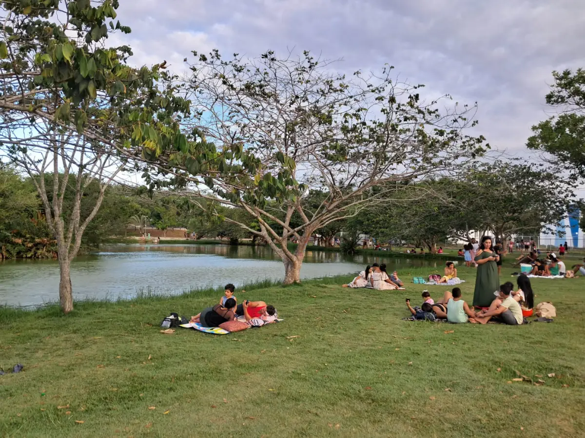 Parque da Lagoa