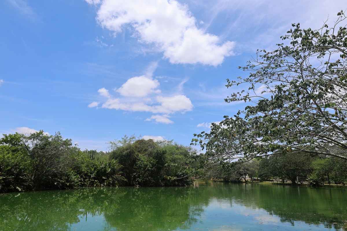 Parque de Feira de Santana