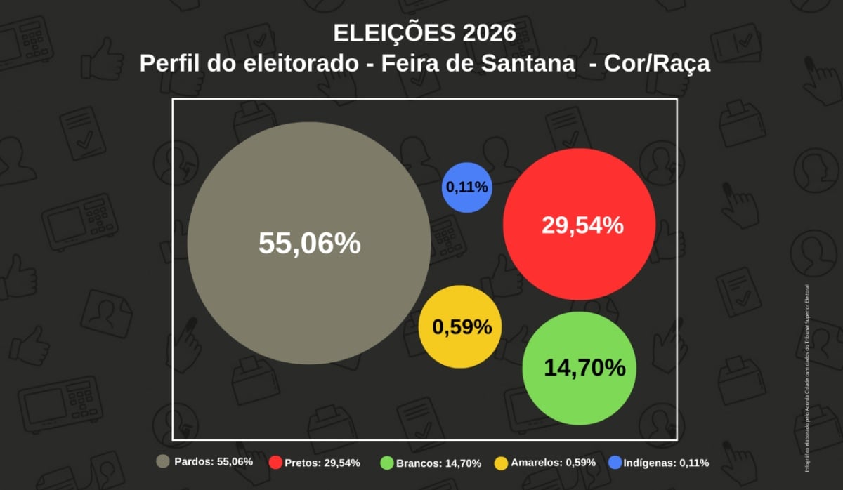 Raio-X das Eleições 2026 conheça o perfil do eleitorado de Feira de Santana