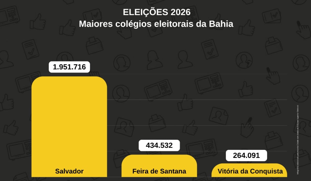 Raio-X das Eleições 2026 conheça o perfil do eleitorado de Feira de Santana